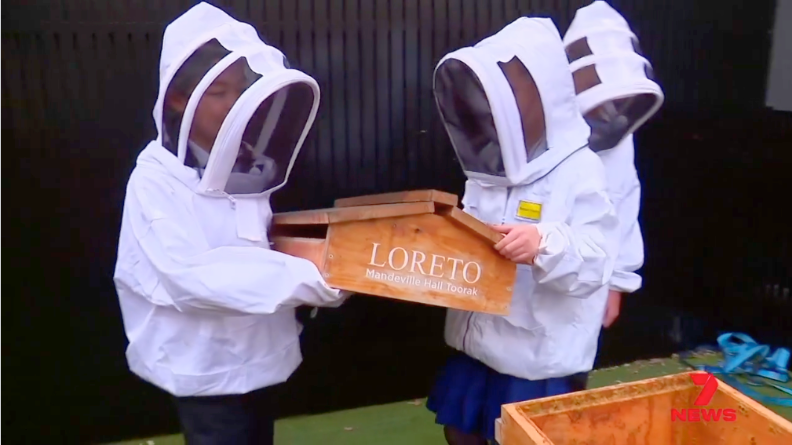 A Bright Side to Beekeeping on Channel 7